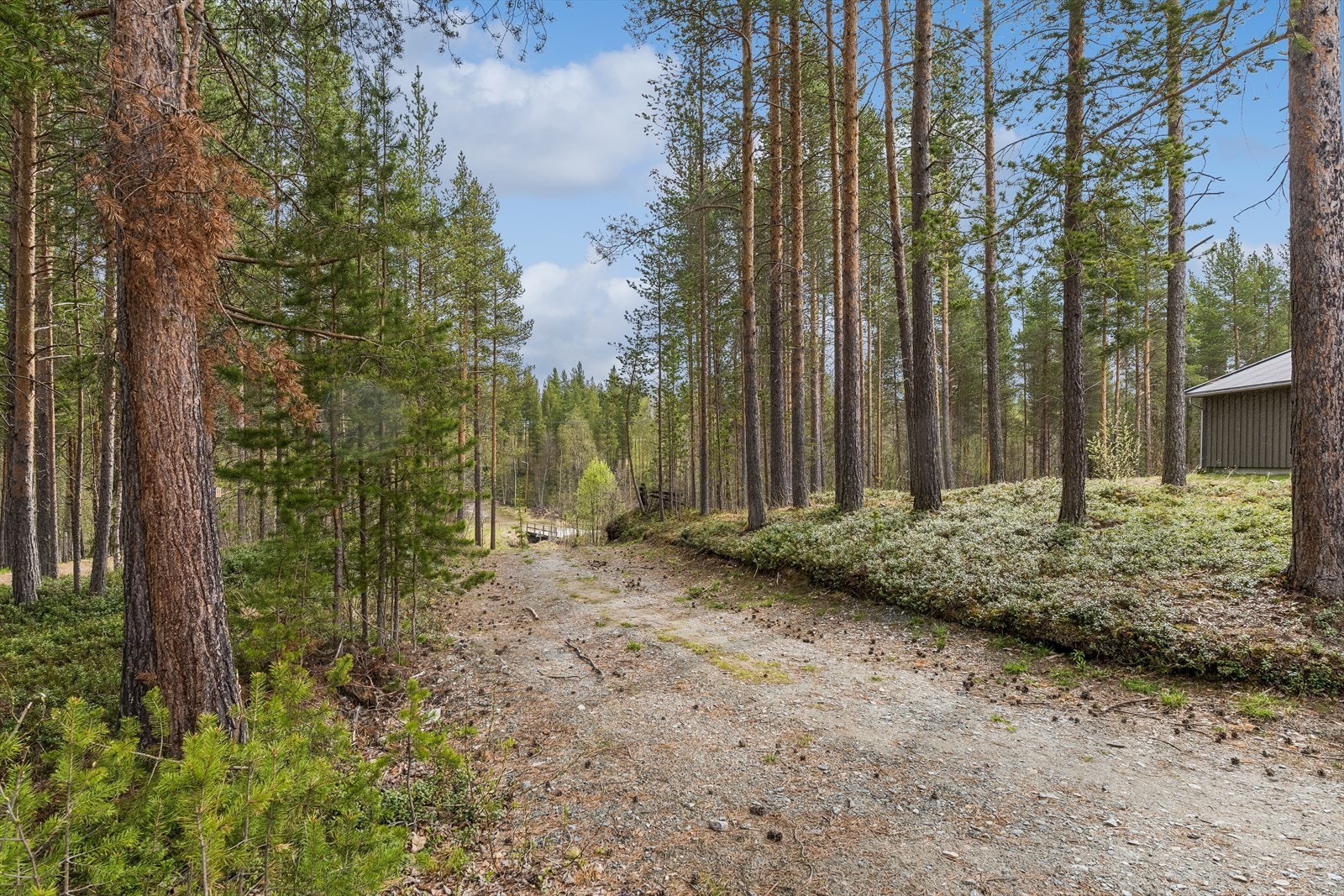 Nærhet til skog og mark gir gode turmuligheter rett utenfor døren, sommer som vinter. Galleribilde