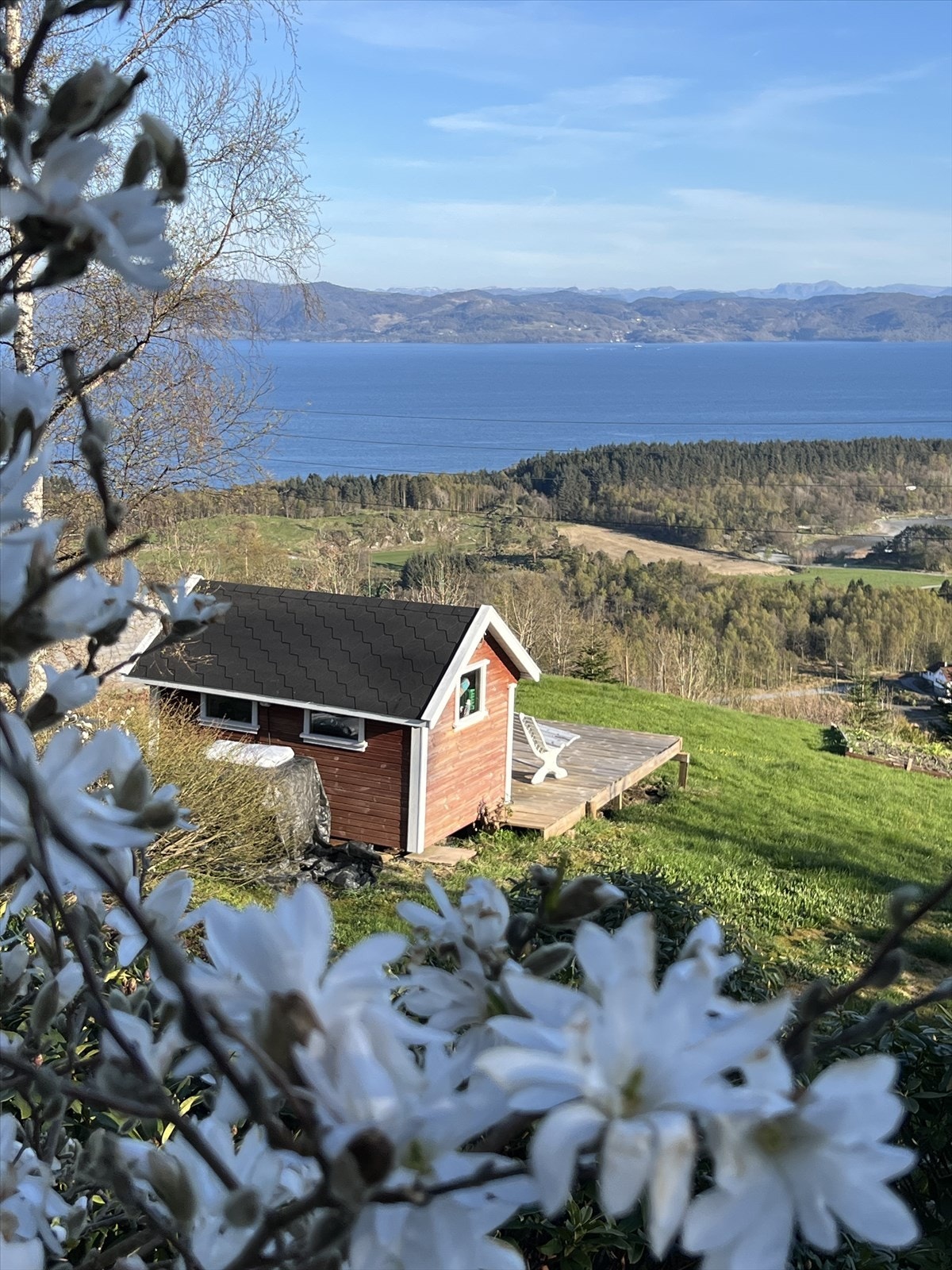 Den herlige hagen har bla. blomster, prydbusker, blåbær, forskjellige trær og frukttrær Galleribilde