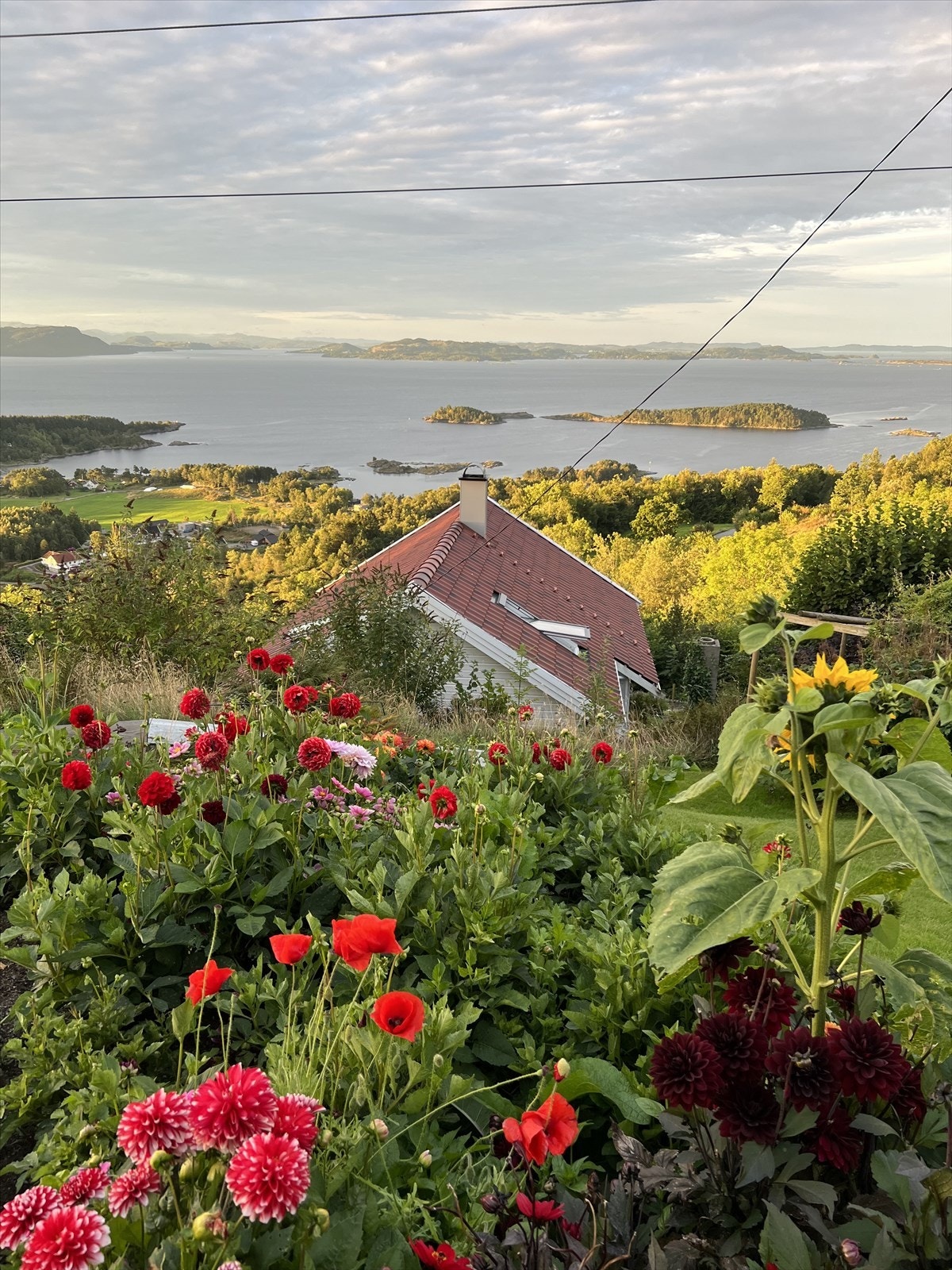 Fargerik idyll i vakre omgivelser Galleribilde