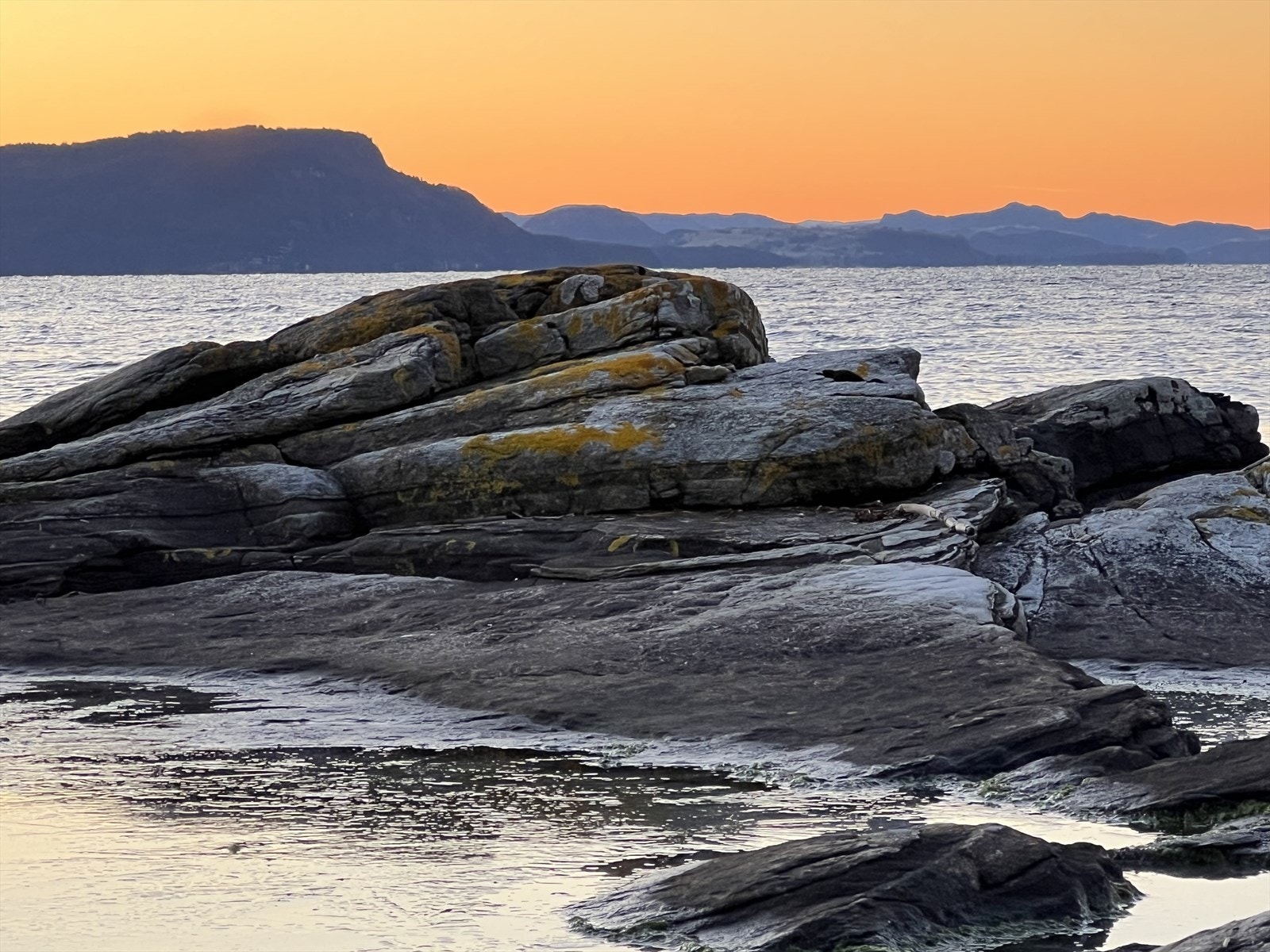 Nærområdet ved sjøen Galleribilde