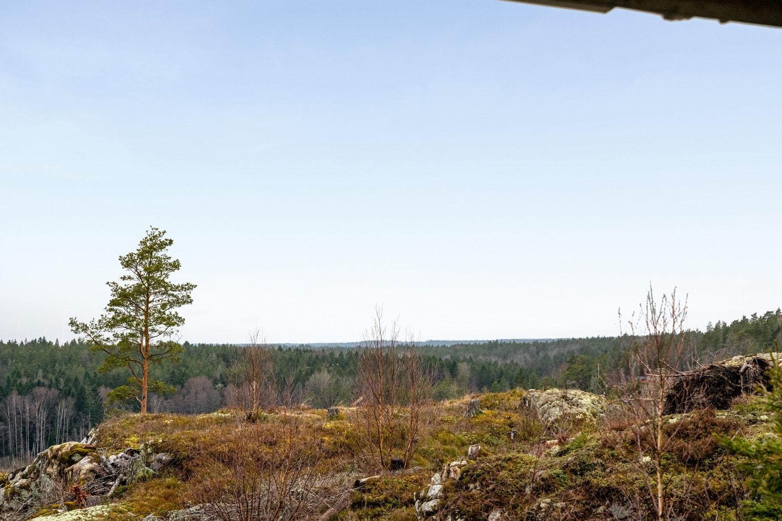 Langstrakt utsikt sees også langt over skogene i sørvest - her fremhevet med zoom. Galleribilde