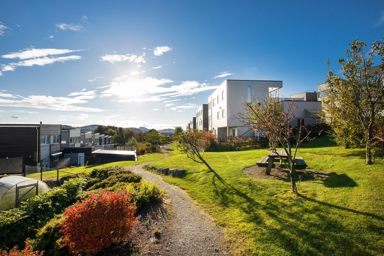 Nærområde Galleribilde