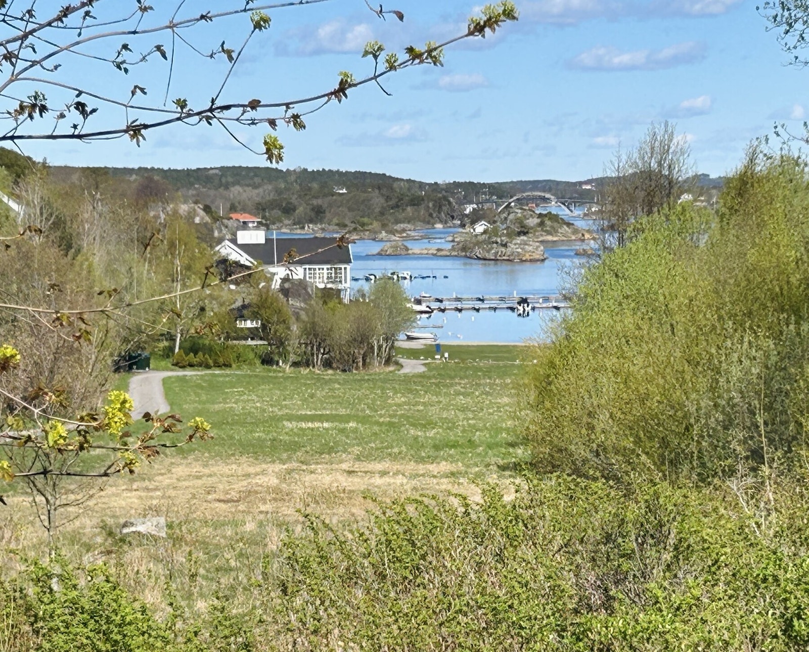 Utsikt fra terrassen. Galleribilde