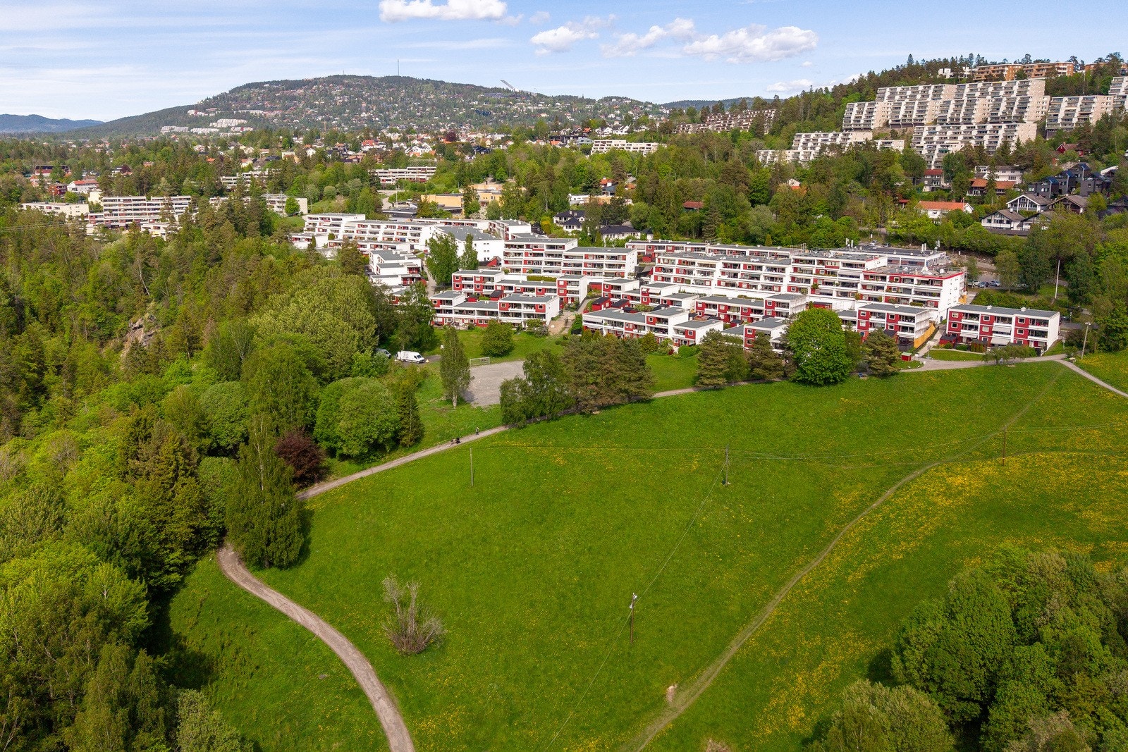 323776_V124_jute_drone-5.jpg Galleribilde