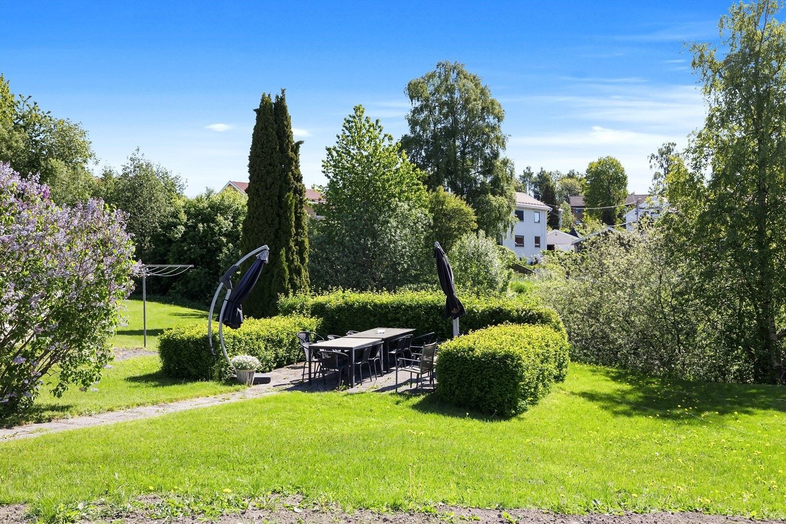 - Hyggelige fellesområder - Galleribilde