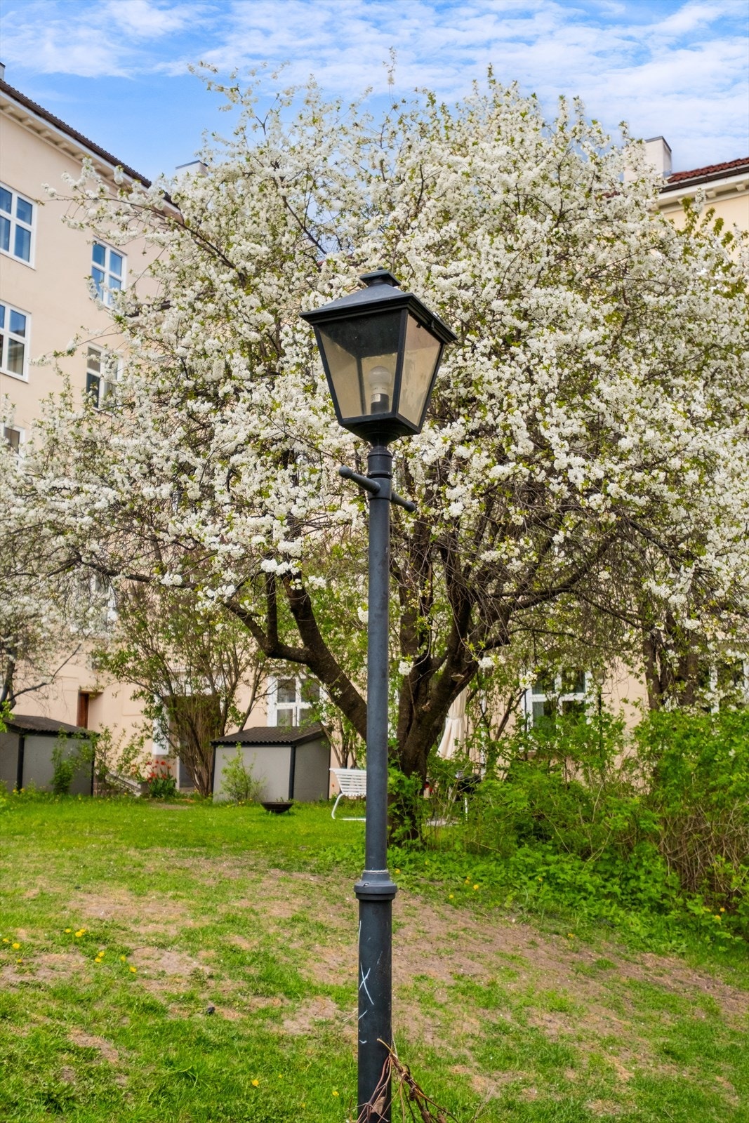 Bakgård. Galleribilde