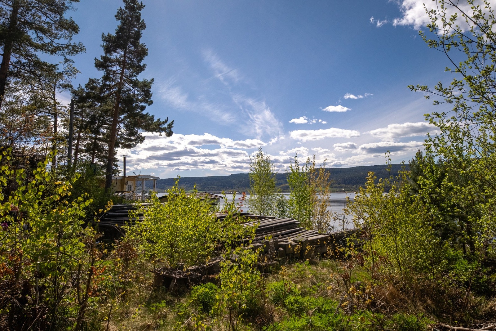 Tomten fra bakkenivå. Galleribilde