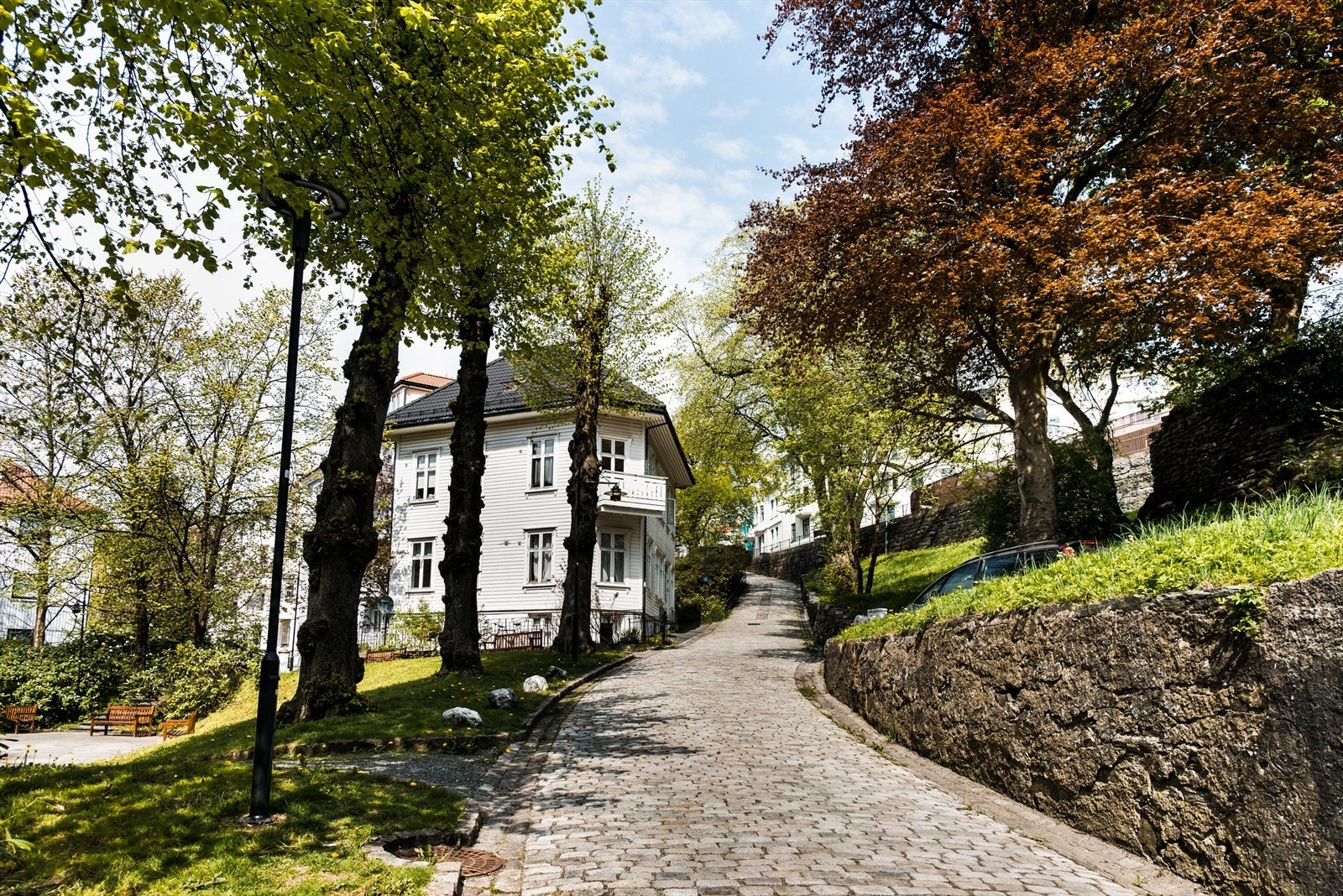 Torgallmenningen når du raskt, med en spasertur over høyden. Galleribilde