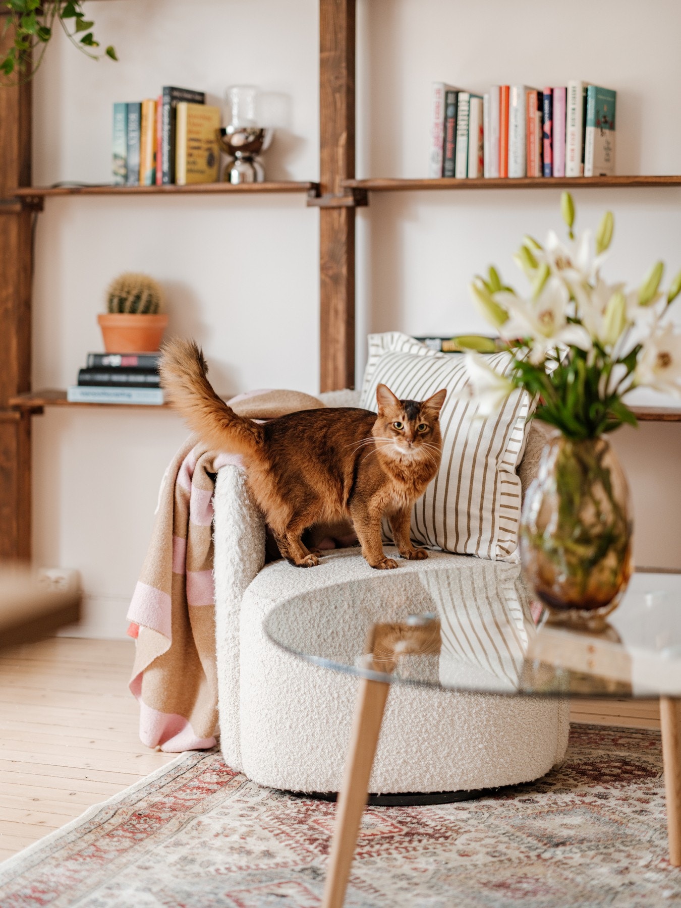 Det tillates å holde hund/katt eller andre husdyr så fremt det ikke er til sjenanse for beboerne. Galleribilde