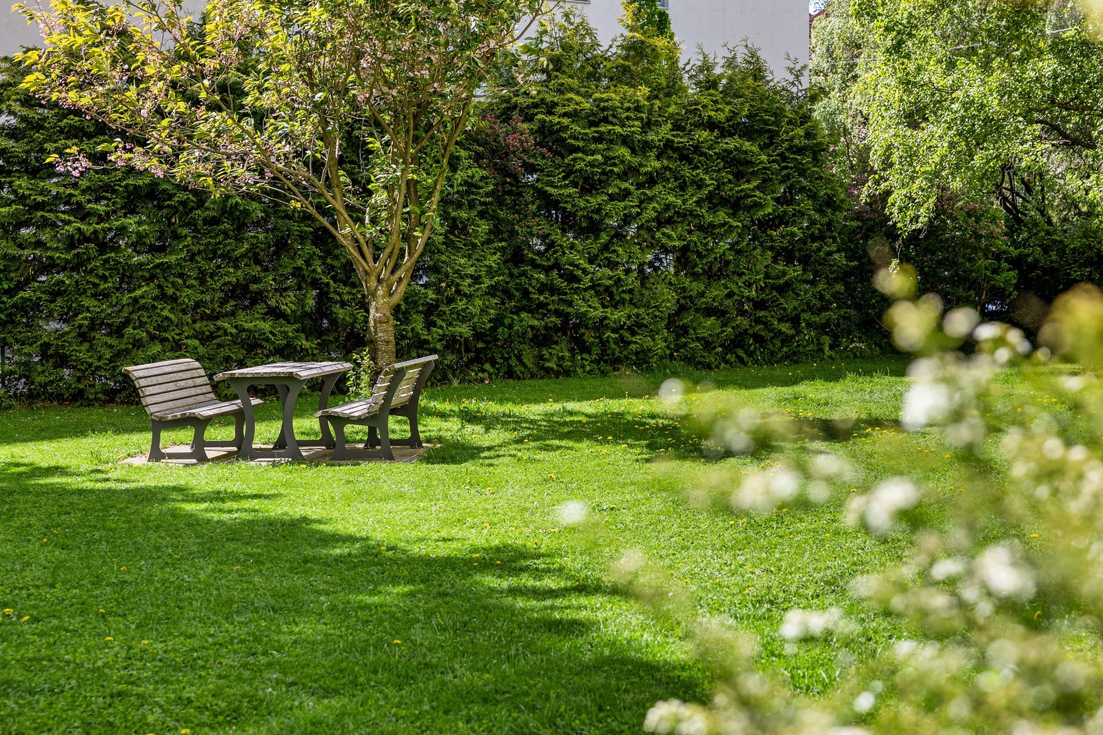 Idyll! Galleribilde