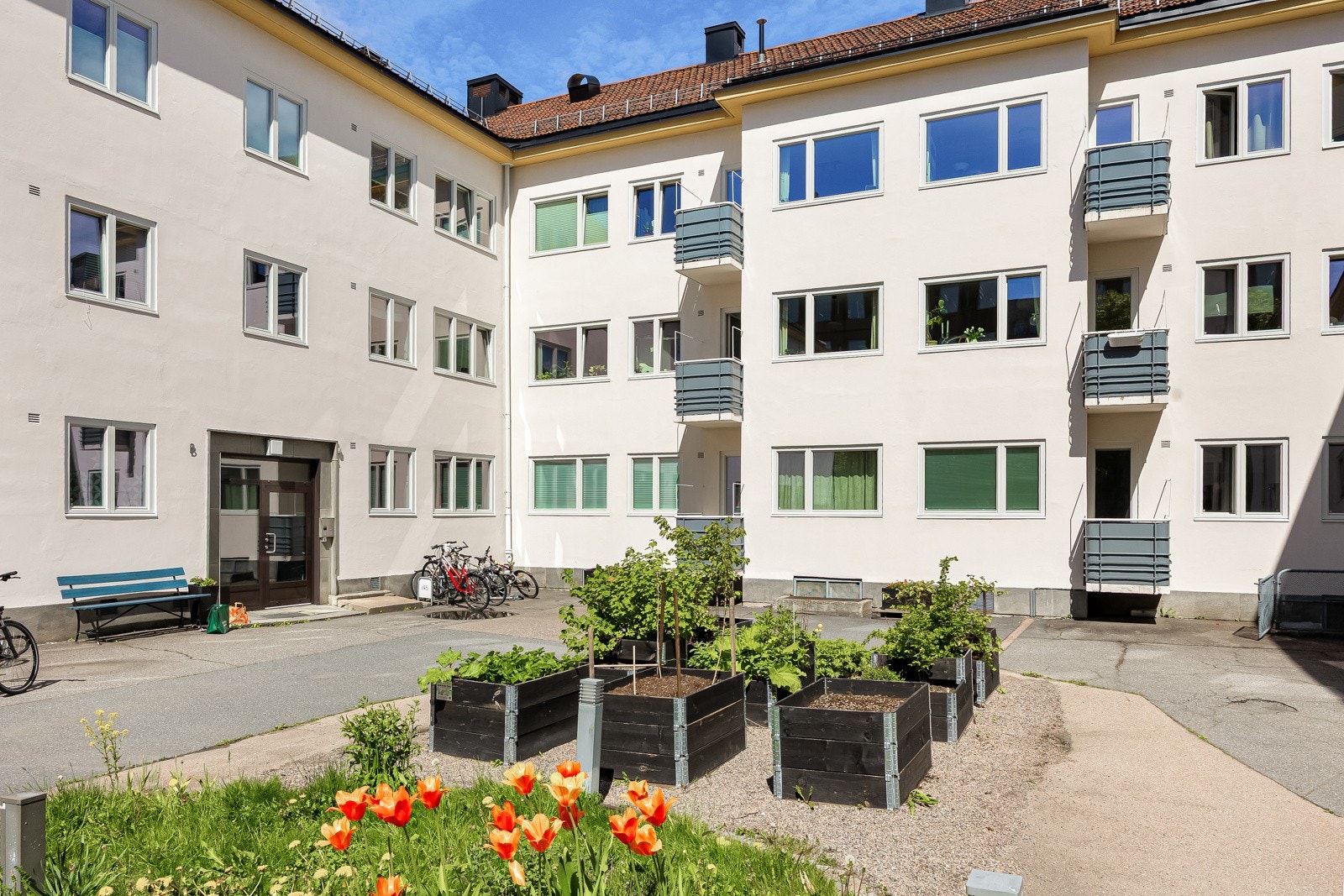 Hagegruppa har etablert dyrkekasser i gården og bidratt for et grønnere uteområde Galleribilde