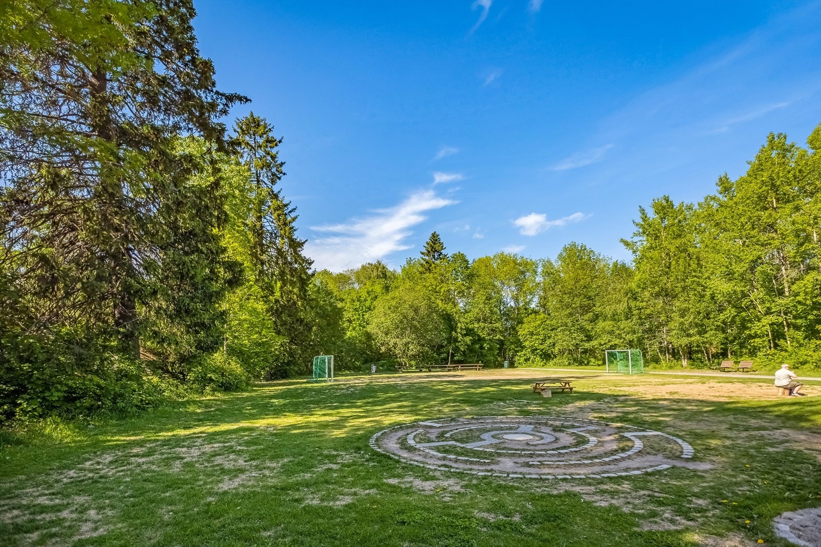 Haugerud hundepark Galleribilde