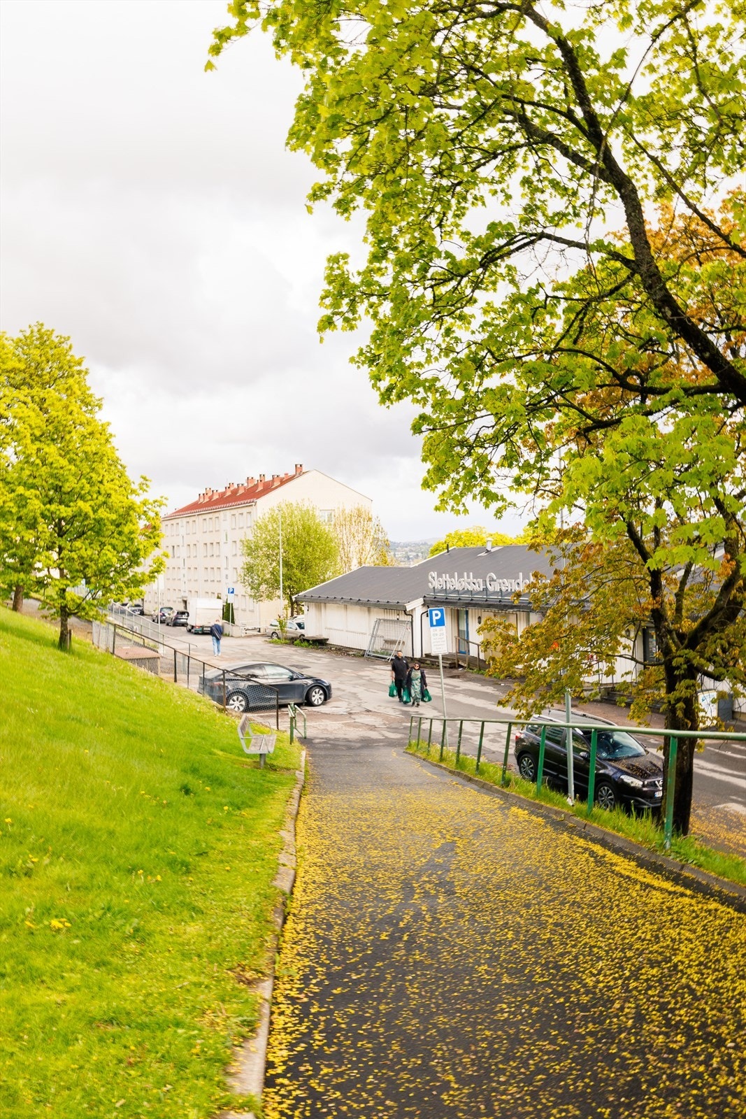 Grønt felles uteområde og gangvei i tilknytning til boligsameiet Galleribilde