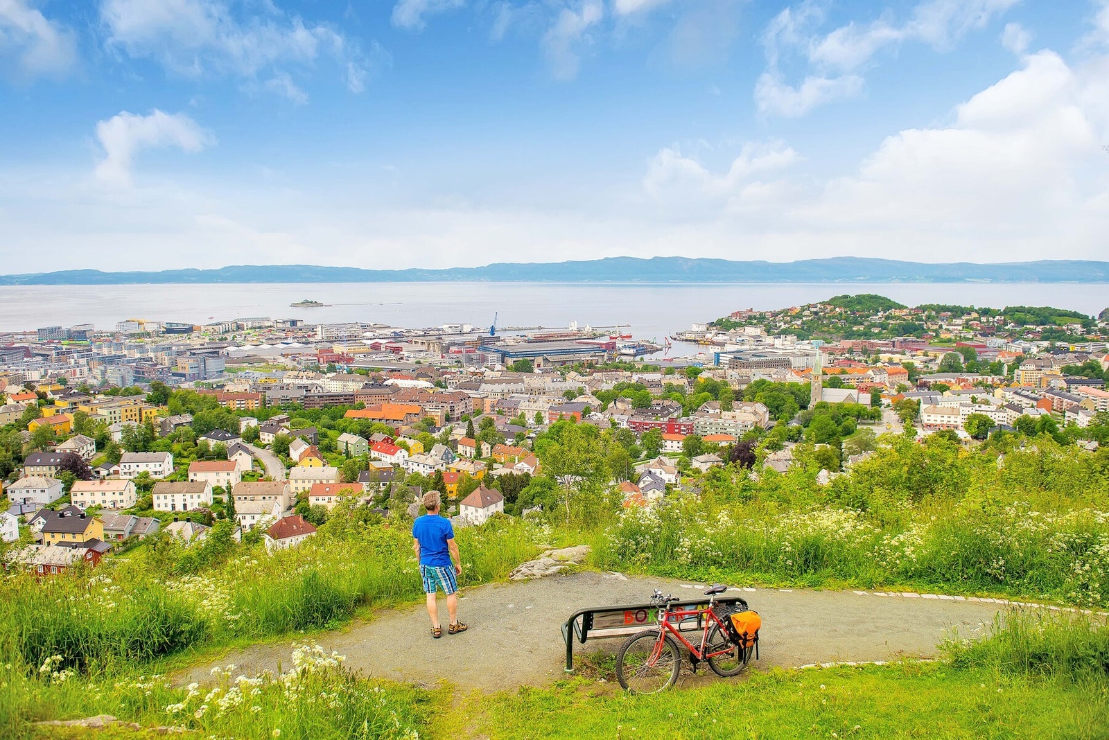 Flotte turområder i umiddelbar nærhet. Her fra Kuhaugen med flott utsikt over Trondheim by Galleribilde