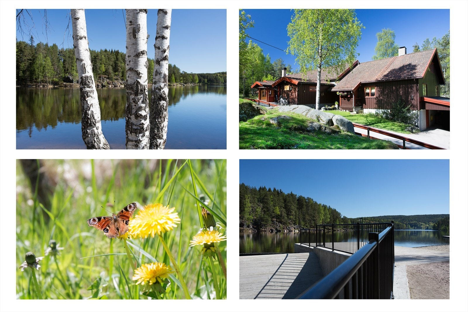 Området byr på et mangfold av naturopplevelser, fra rolige vann til skogsstier. Galleribilde