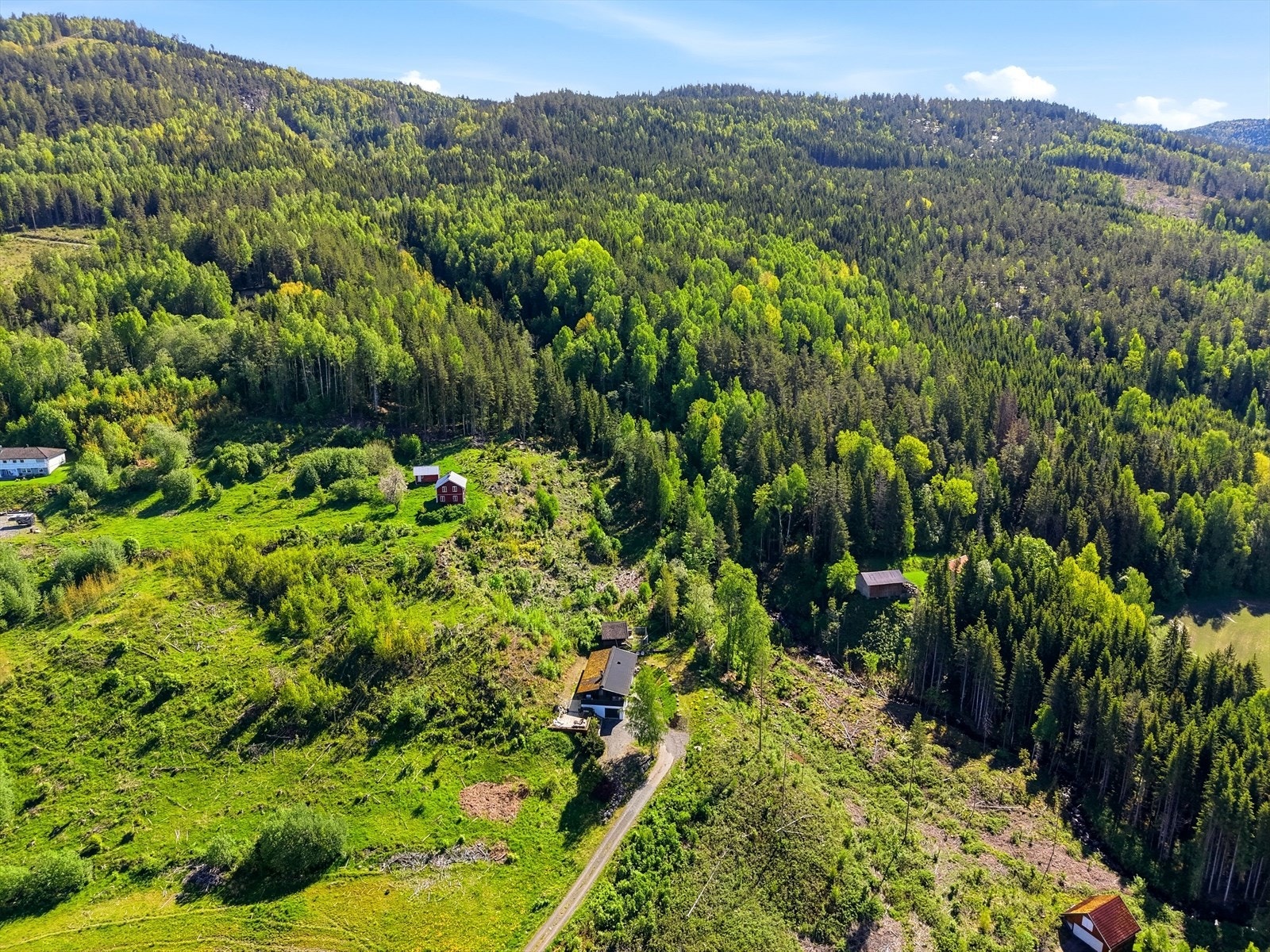 Boligen ligger usjenert til, omgitt av skog og mark. Galleribilde