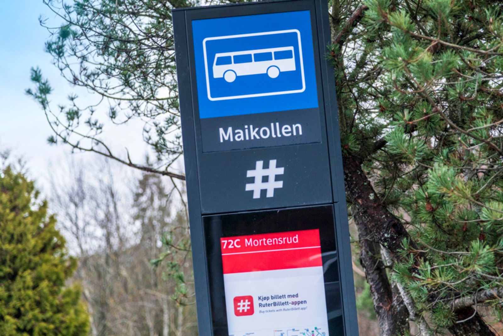 Bussholdeplass like ved boligen. Galleribilde