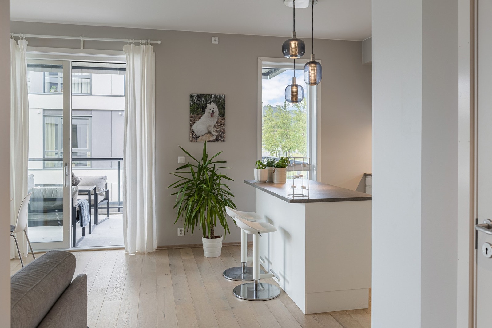 Moderne fargeutvalg Galleribilde