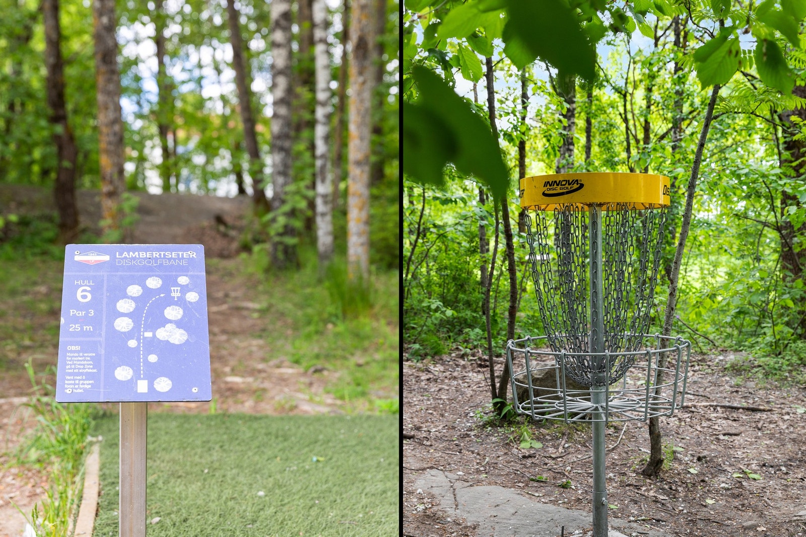 Lambertseter diskogolfbane. Galleribilde