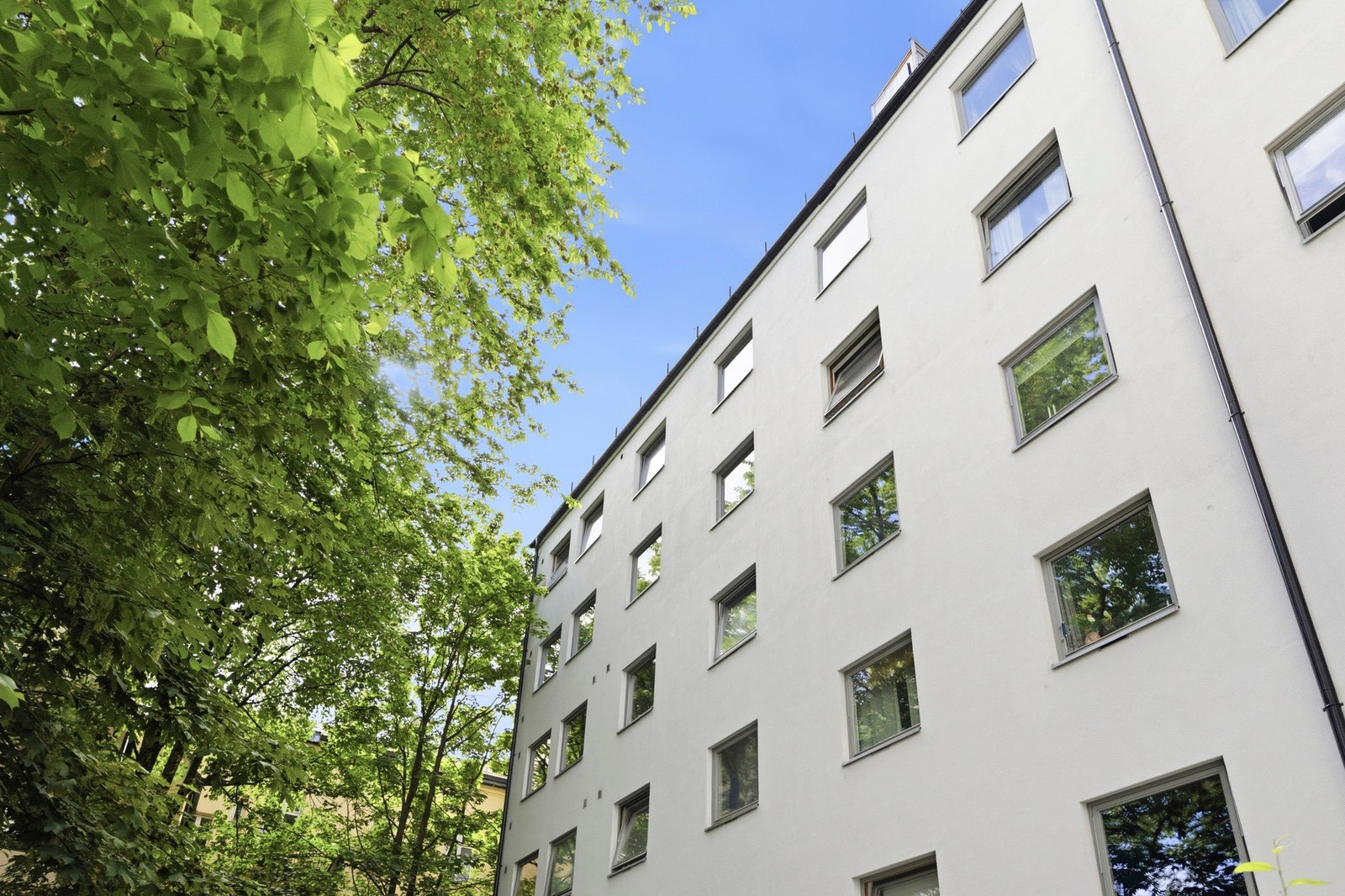 Fasade. Galleribilde