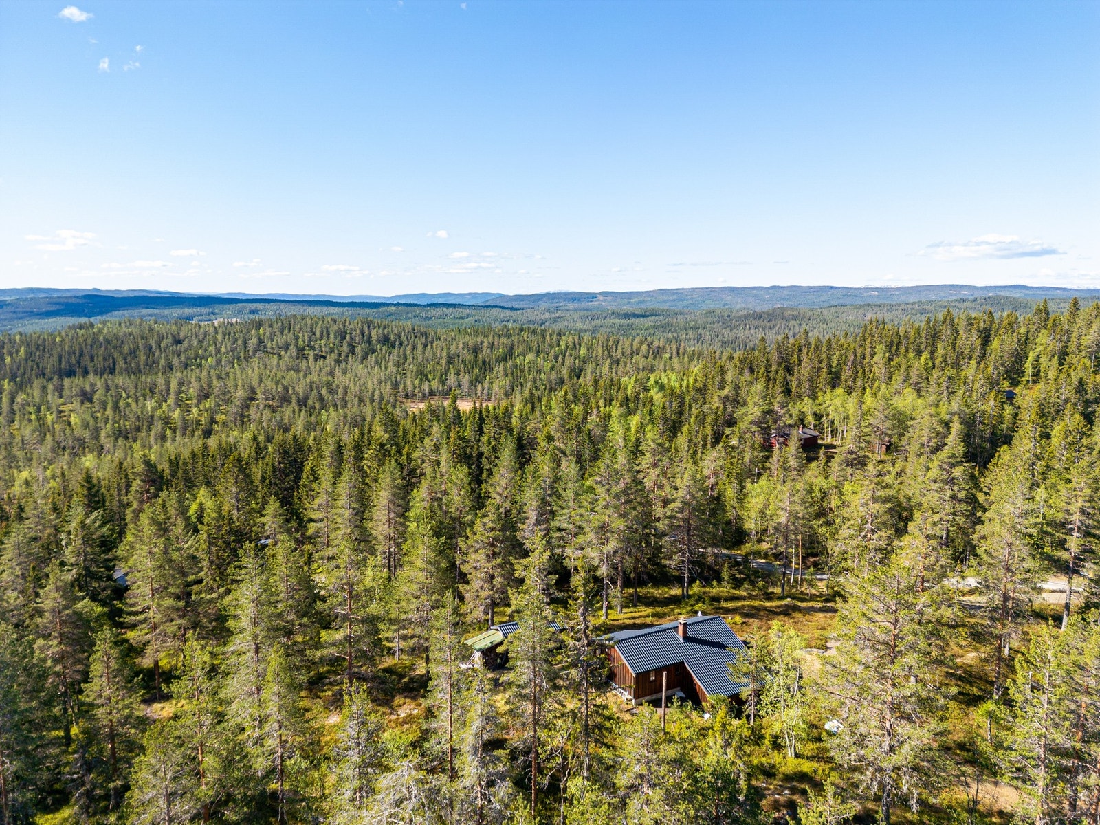 Usjenert beliggenhet i skogsterreng på Rostberget - Veståsen i Søndre Land Galleribilde