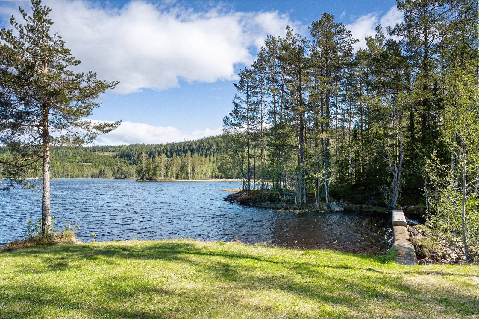 Idyllisk Galleribilde