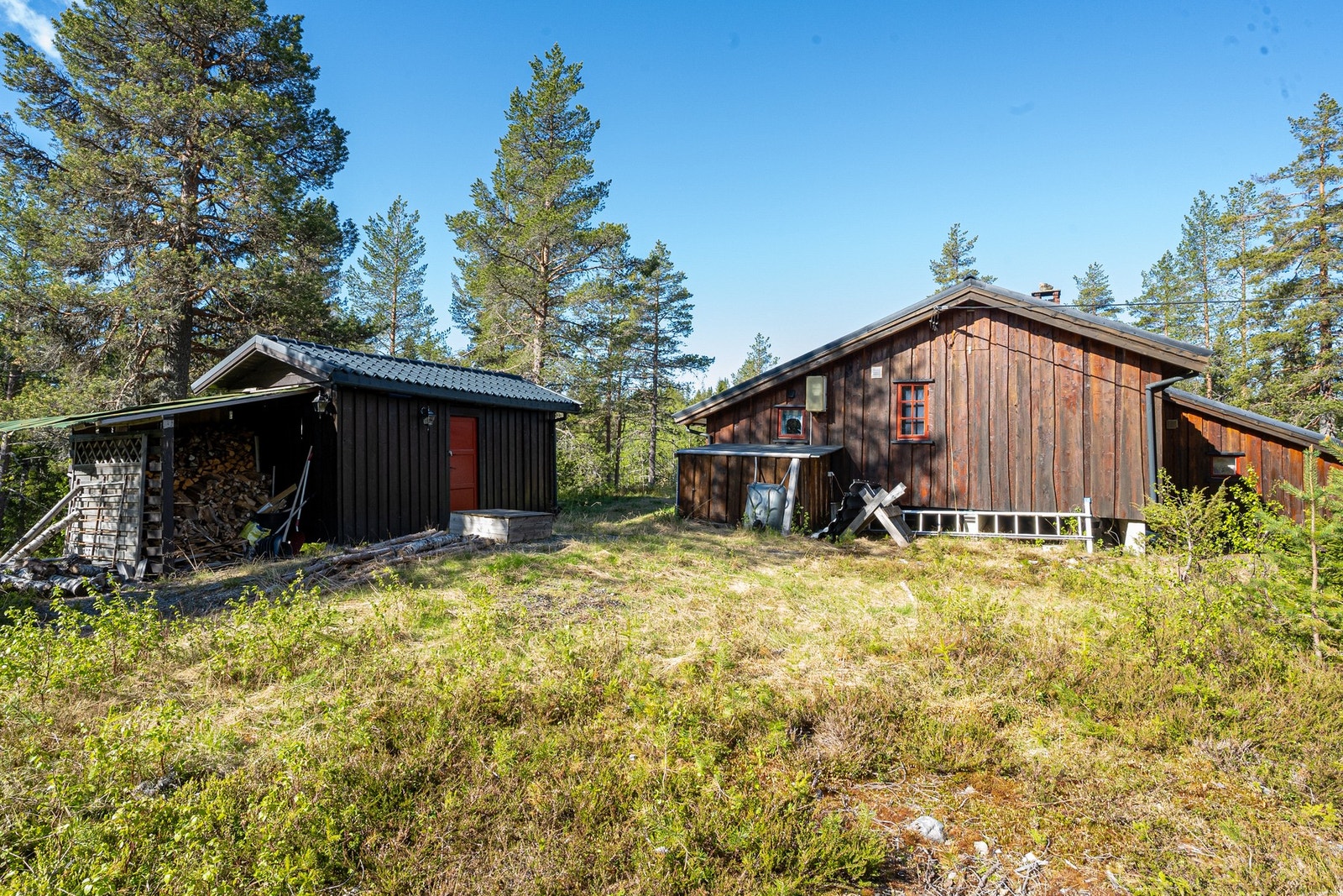 Stor naturtomt rundt hytta - her fra baksida av hytta og uthuset Galleribilde