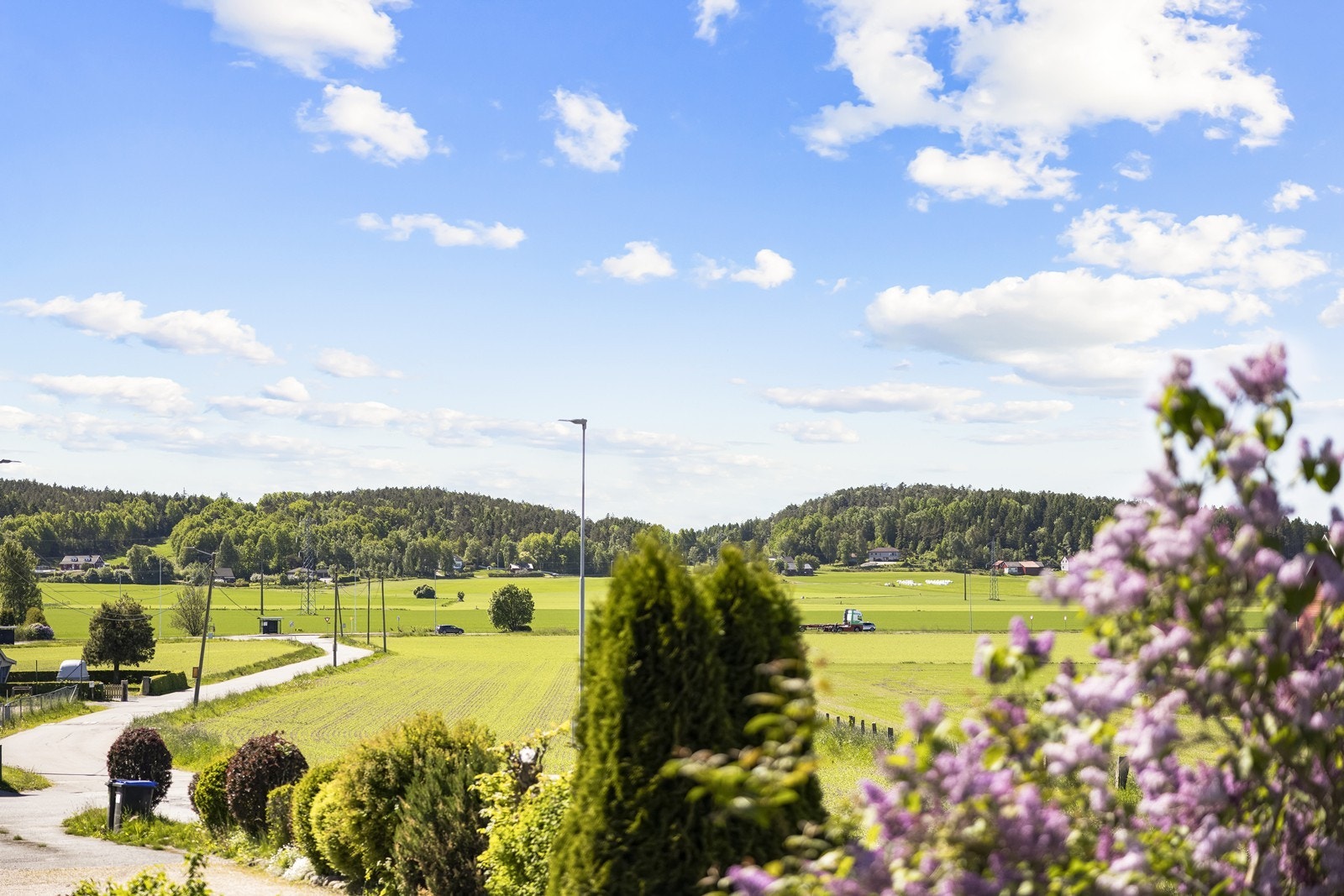Grønne og landlige omgivelser Galleribilde