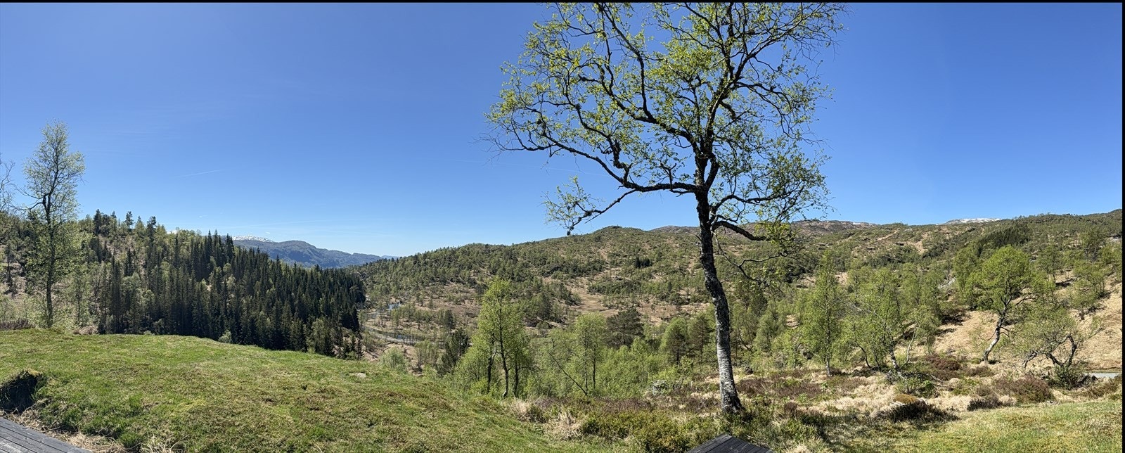 Panorama Galleribilde