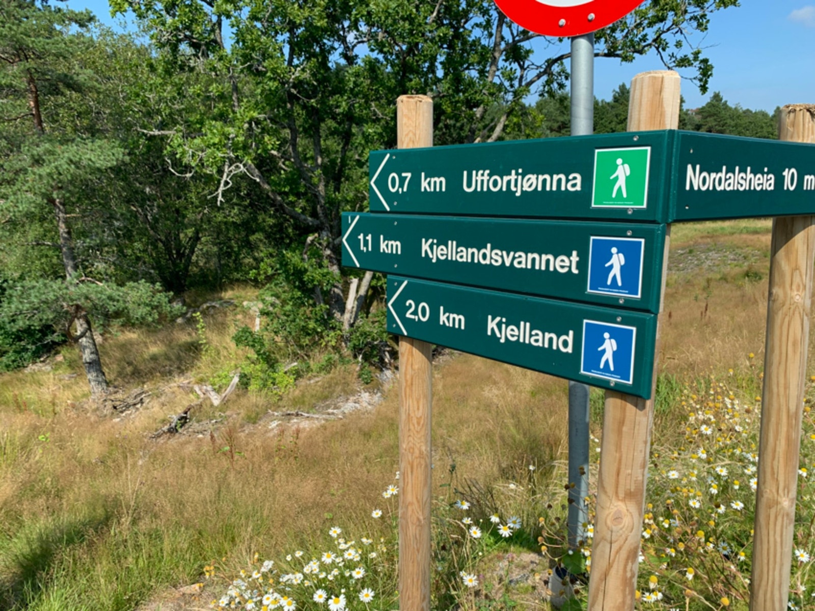 Fine turområder i nærheten Galleribilde