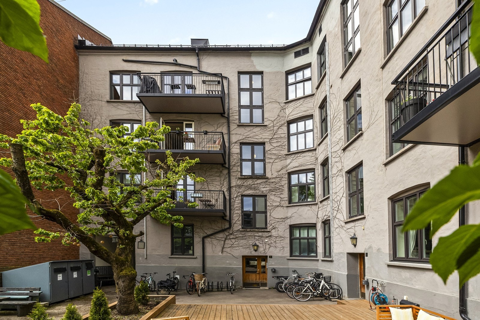 Fasaden mot bakgården er kledd med klatreplanter. Galleribilde