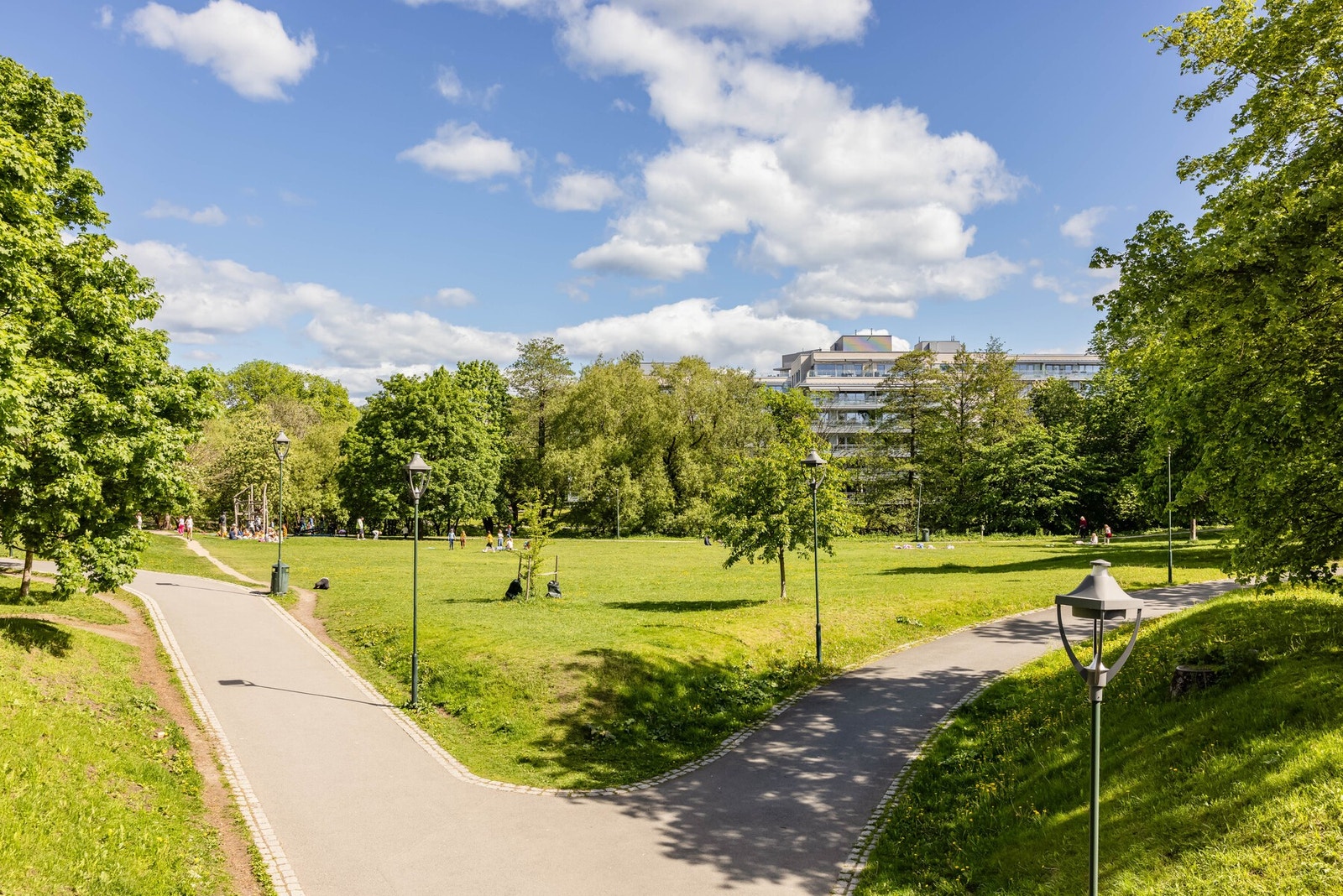 Områdebilde. Galleribilde