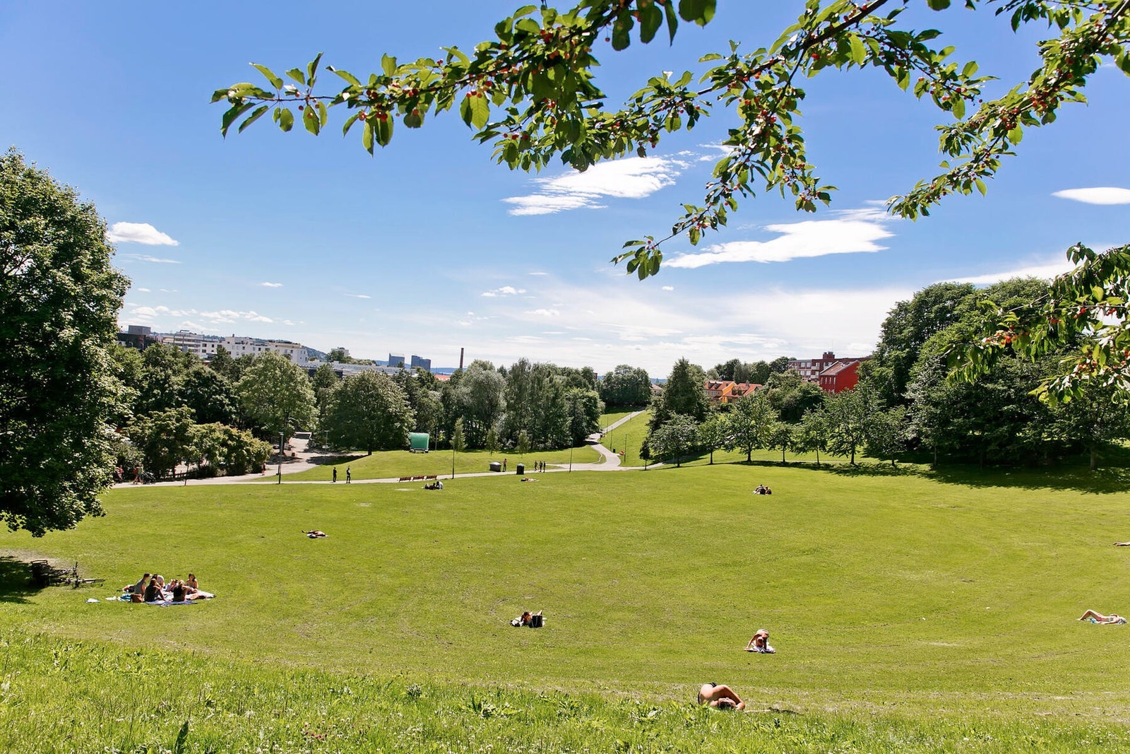 Myraløkka er parken du ser fra Kjøkkenvinduet ditt. Galleribilde