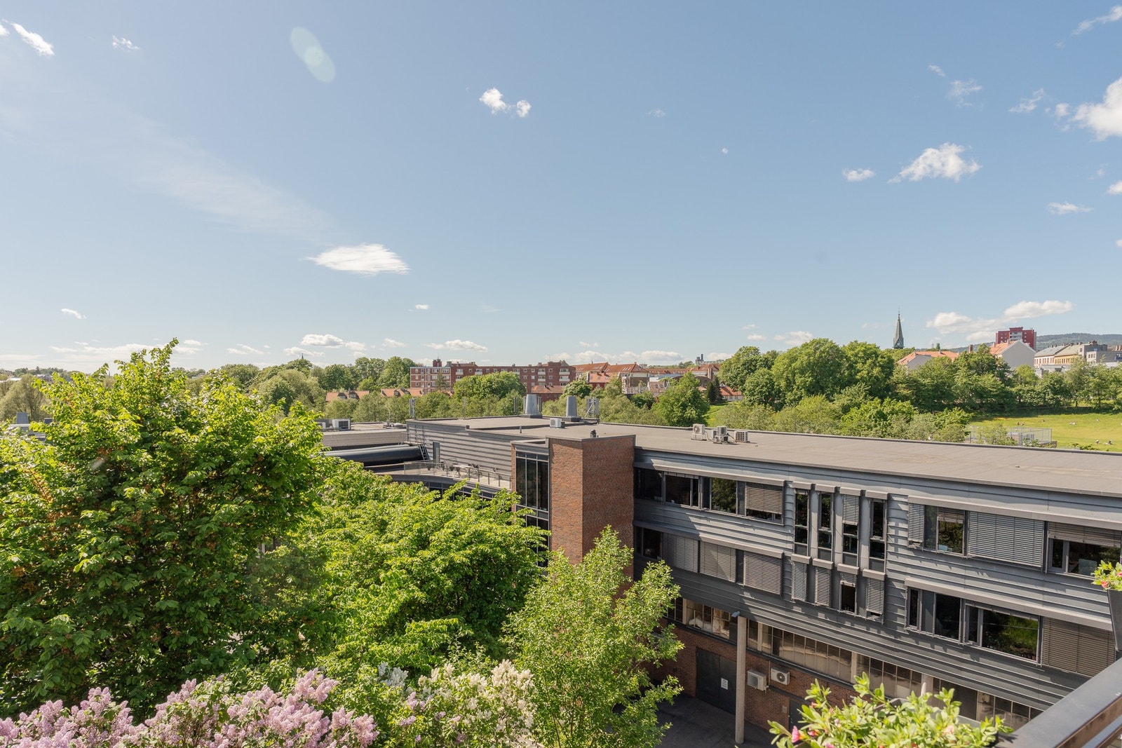 Her ser vi mot Sagene i vest. Galleribilde