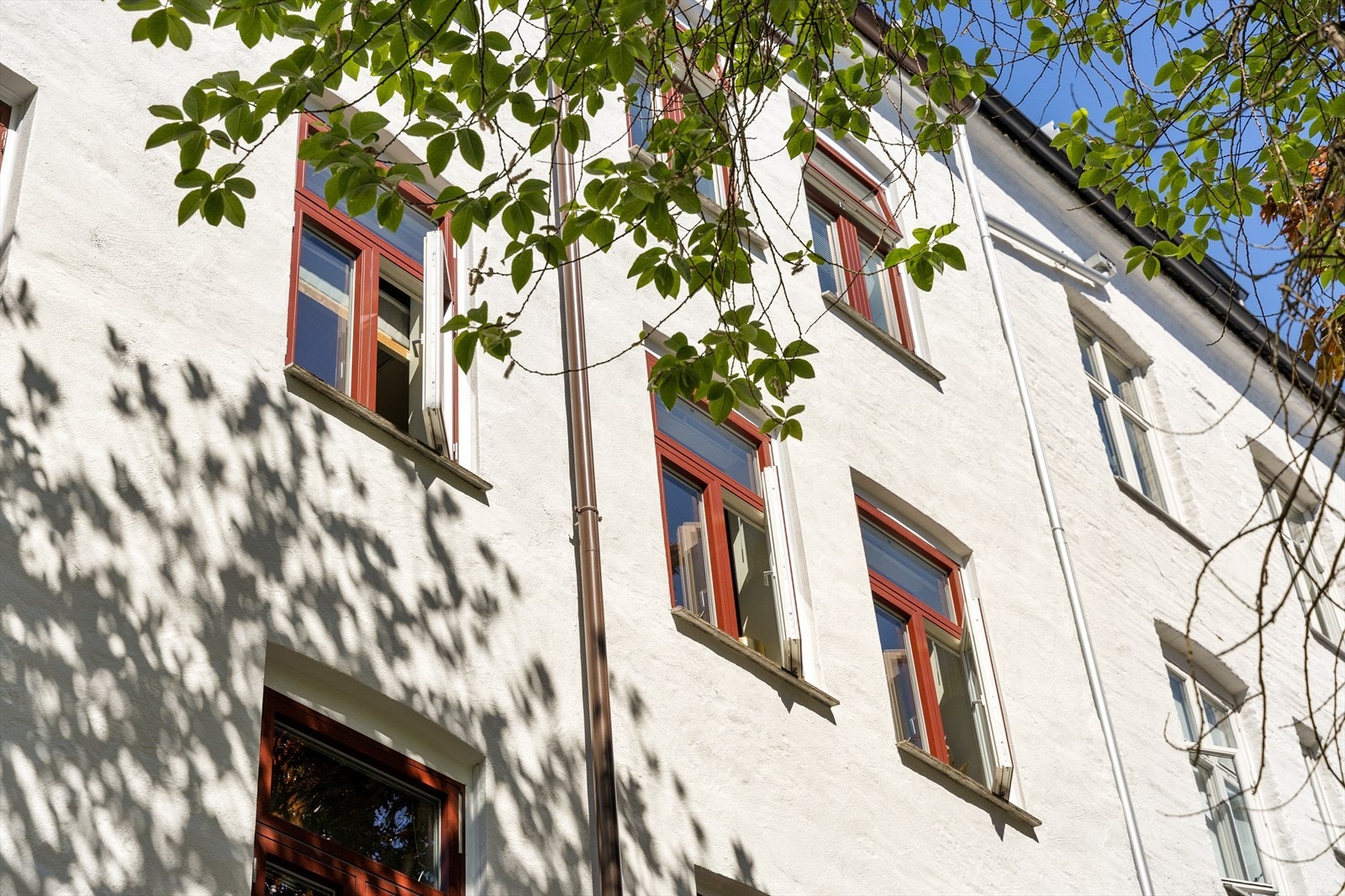 Sverdrups gate 11 ligger sentralt til på Grünerløkka, et område kjent for sitt urbane preg, grønne parker og store utvalg av kaféer, restauranter og servicetilbud. Galleribilde