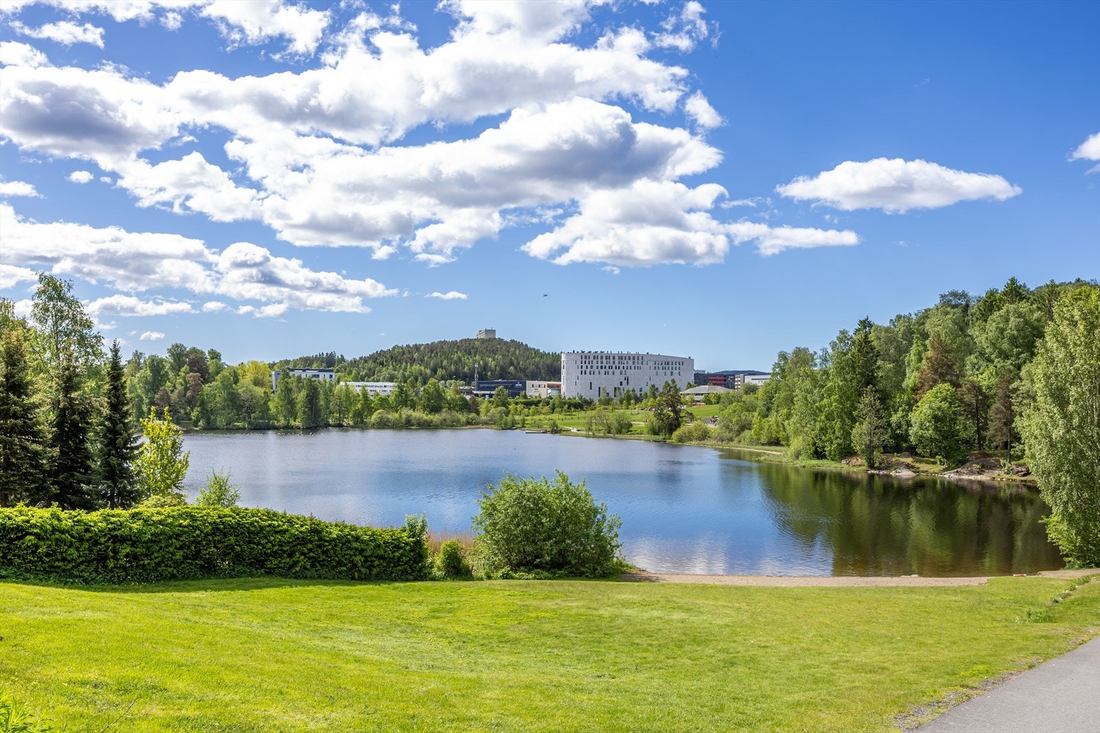 Fra leiligheten er det kort vei til flotte turmuligheter. Galleribilde