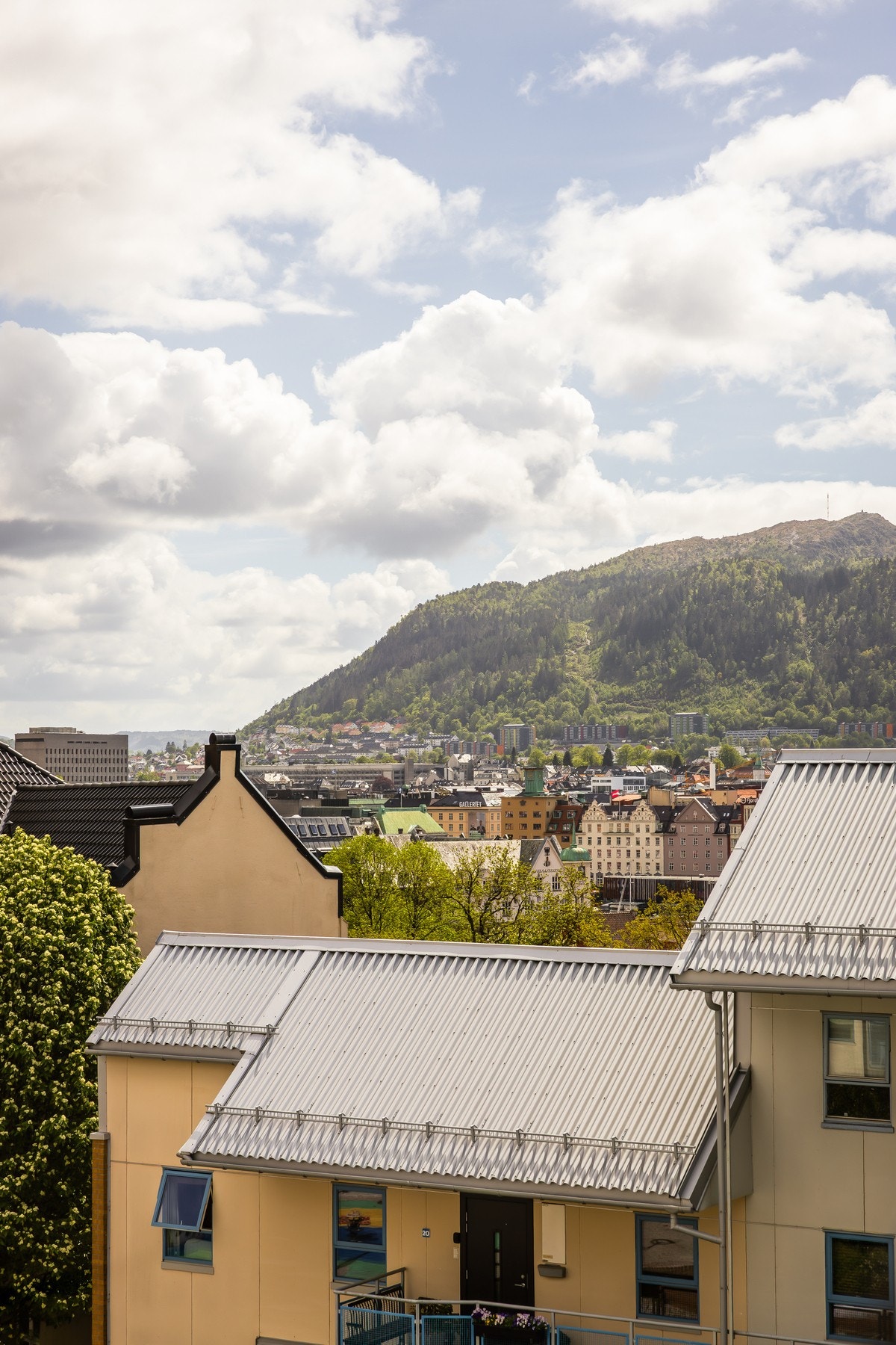 - Privatmegleren - Galleribilde