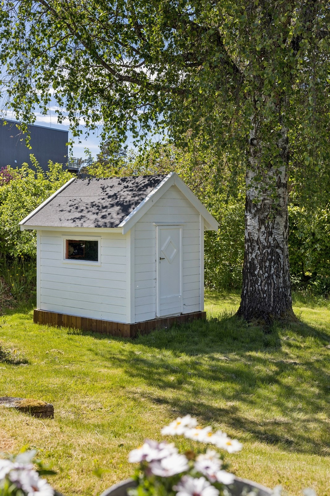 Sjarmerende liten lekestue i hvitt, idyllisk plassert under en frodig bjørk i en solfylt hage. Galleribilde