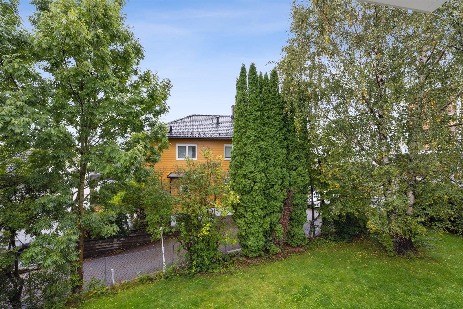 Velkommen til visning! Galleribilde