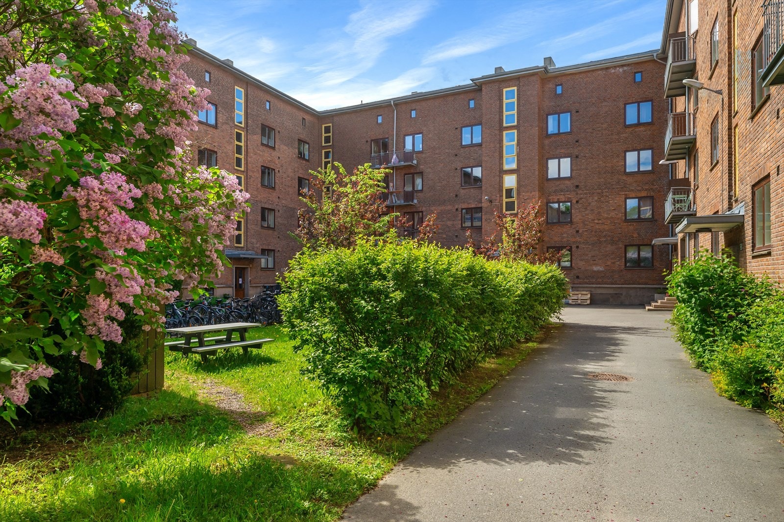 Velkommen til Nordkappgata, med lukket og grønn bakgårdshage Galleribilde