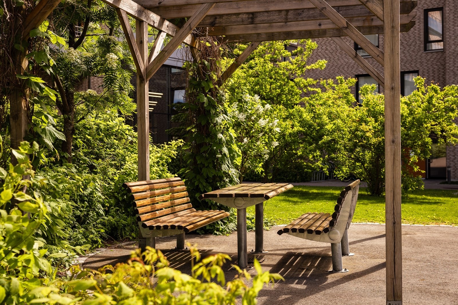 Fellesområdene er pent opparbeidet med blant annet sittegrupper, gressplen og hyggelig beplantning. Galleribilde