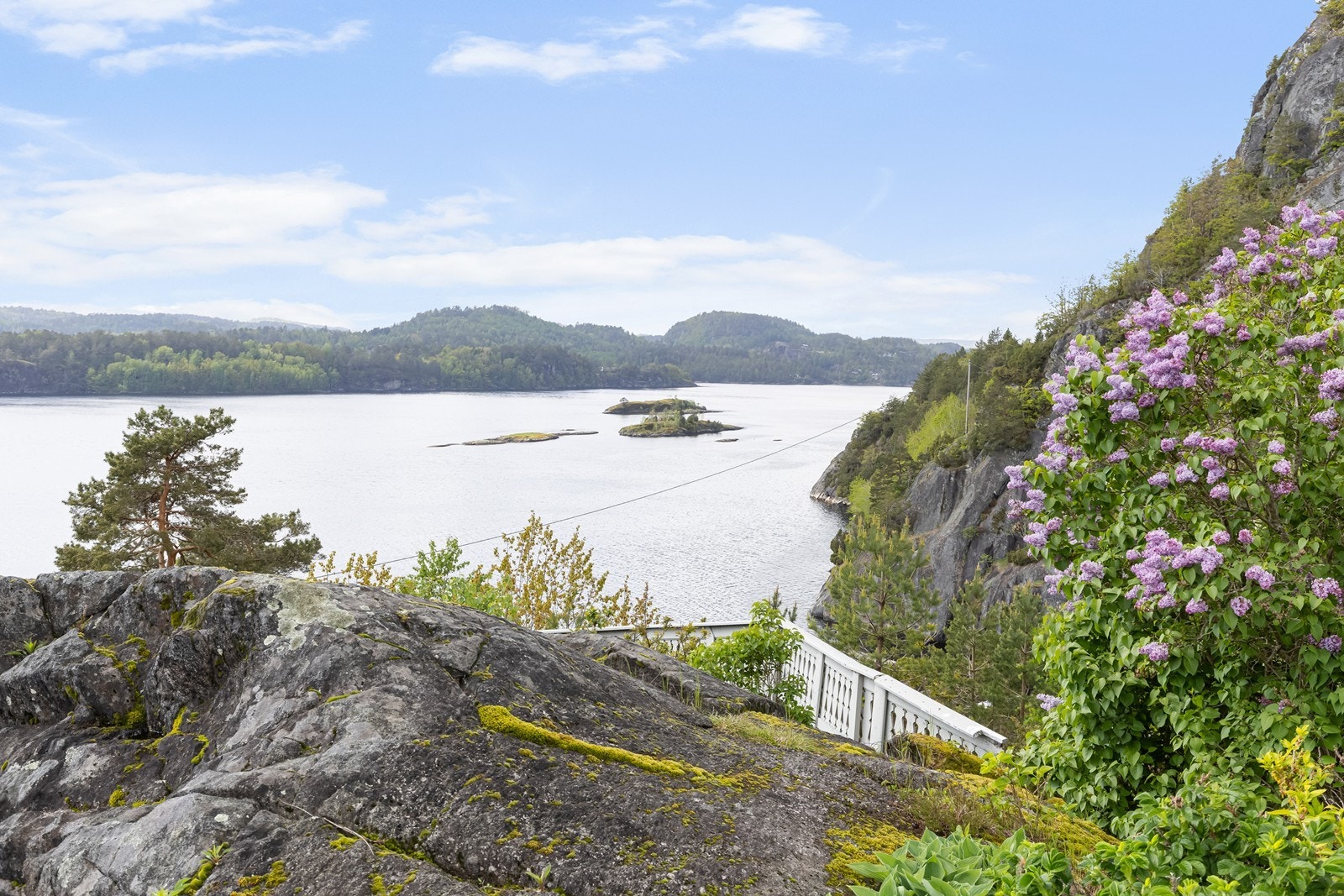 Sørfjorden på sitt aller beste. En båttur til Risør sentrum er obligatorisk i sommerferien. Galleribilde