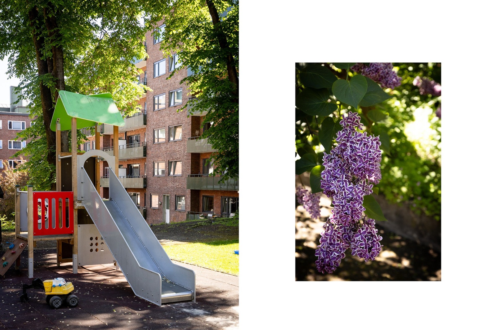 - Bakgård - Galleribilde