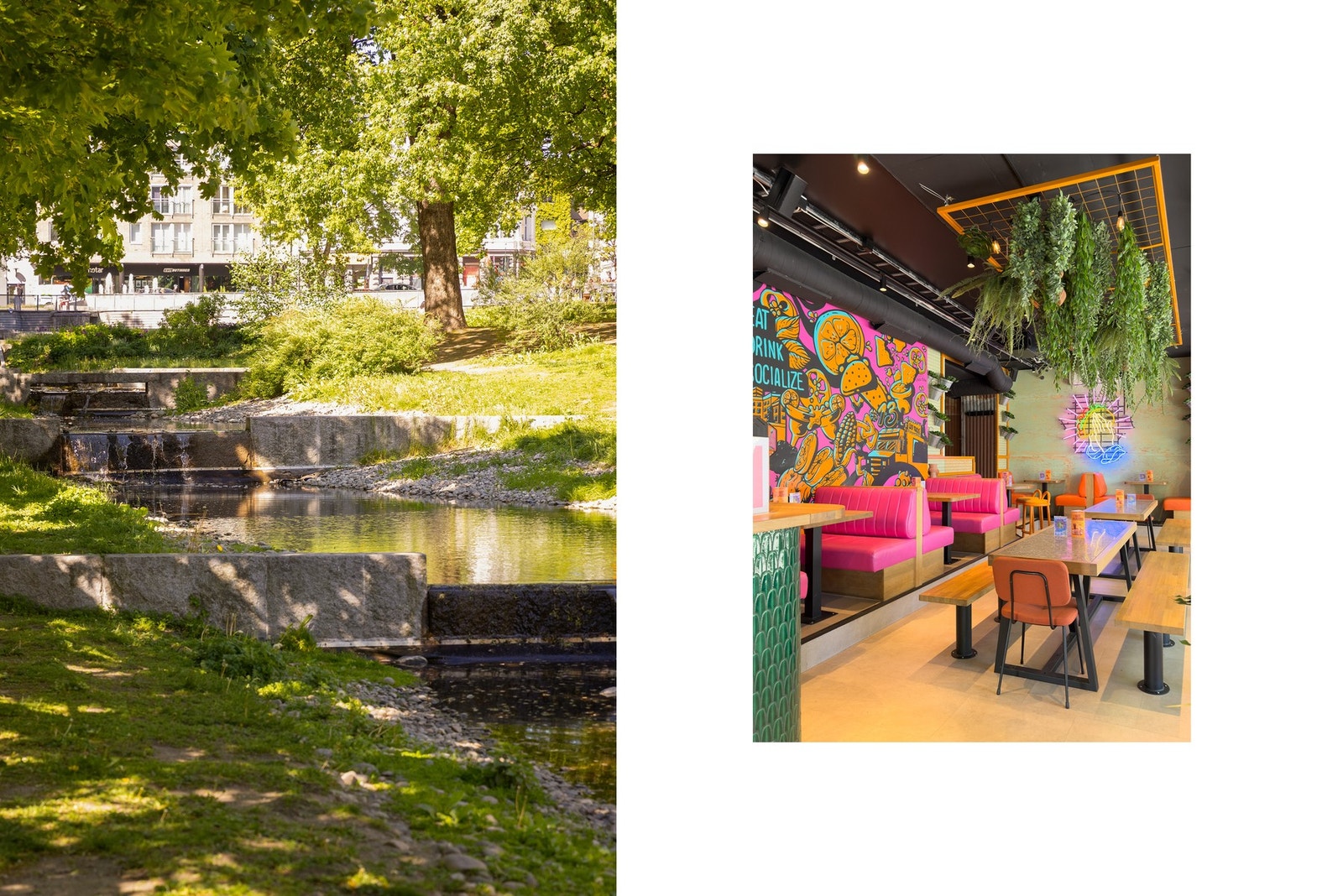- Nærområdet - Galleribilde