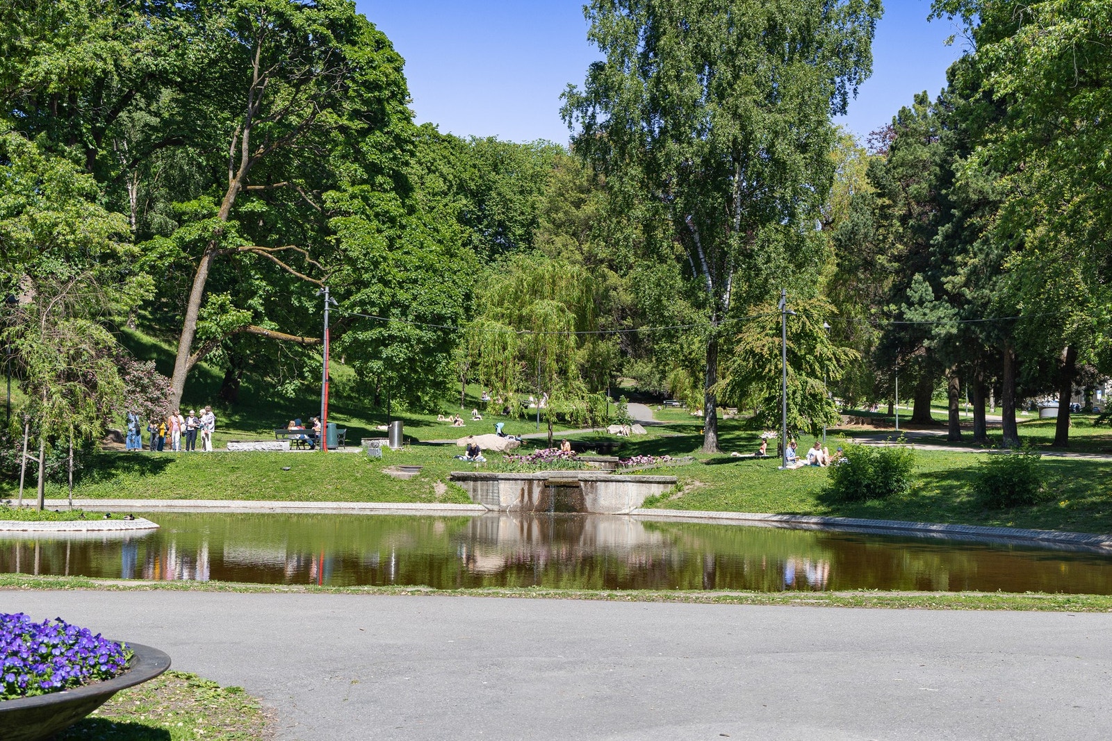 St.Hanshaugen park er like over gata, og tilbyr piknik og ro så vel som treningsmuligheter og puls. Galleribilde