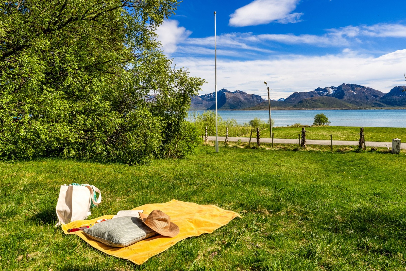 Perfekte forhold for piknik i egen hage. Galleribilde