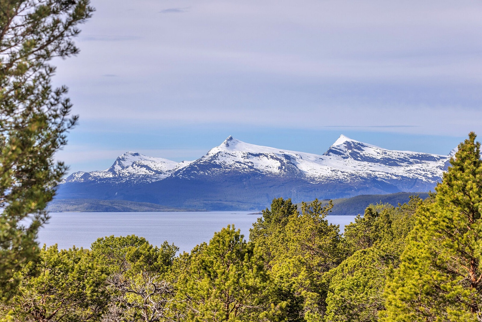 Vid utsikt mot de snødekte fjelltoppene. Galleribilde