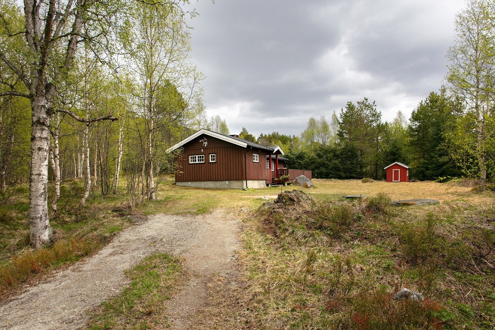 Privat vei fører inn til den usjenerte eiendommen. Galleribilde