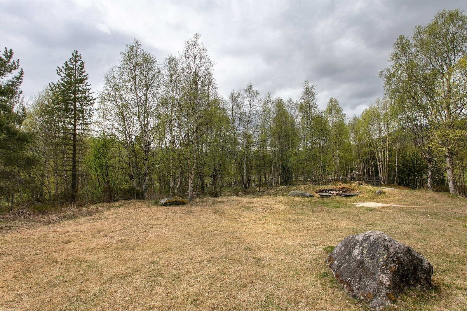 Den store tomten er en blanding av opparbeidet plen og naturtomt. Galleribilde