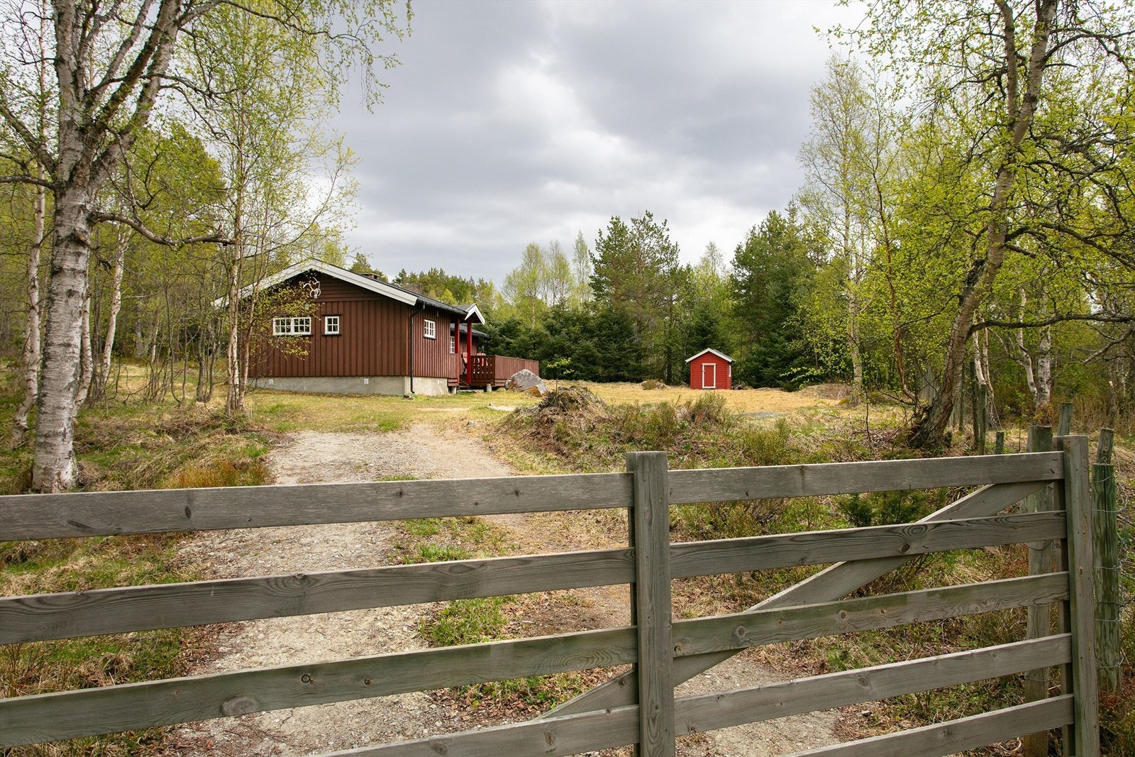 Velkommen til din egen, private plett i fjellet. Galleribilde